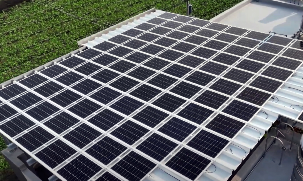 jinnian金年会SunSteel光电浪板升级双玻结构，以提升机械负载强度及气候耐候度，可广泛运用于多元场域