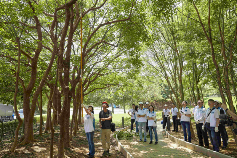 藝師教導大家認識樹木、檢查樹的健康狀況，學習修枝及碎枝覆土